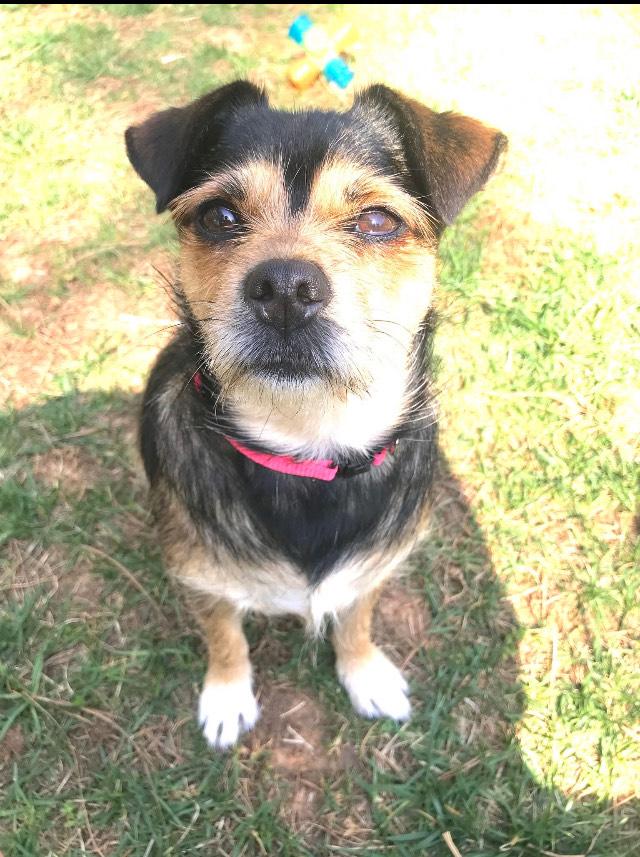Bella